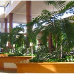 interior-plantscapes-greenville-charlotte