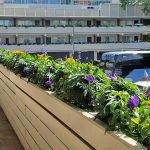 hotel-landscaping-1