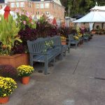 special-event-landscaping-2